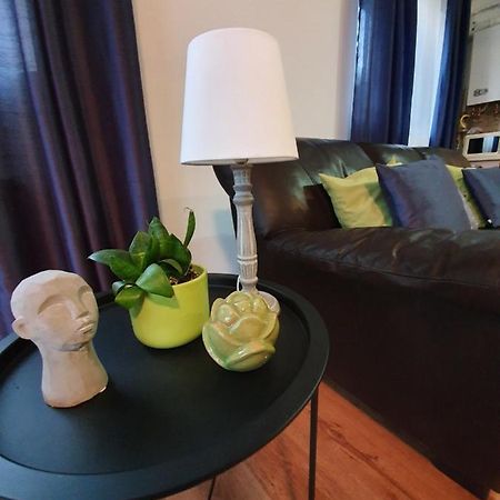 Gloria Apartament Baia Mare Exterior foto