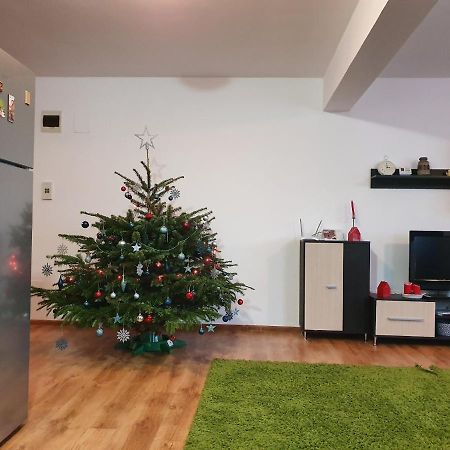 Gloria Apartament Baia Mare Exterior foto